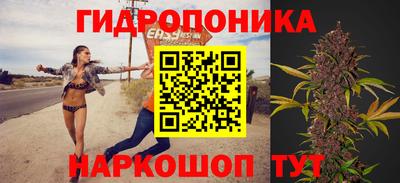 бутират Дубна